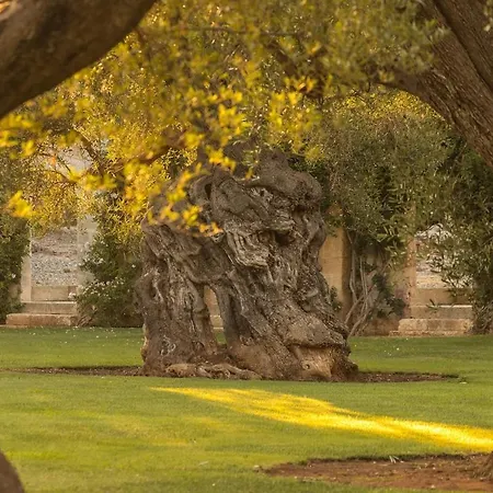 Masseria Buganvillea 빌라 파사노